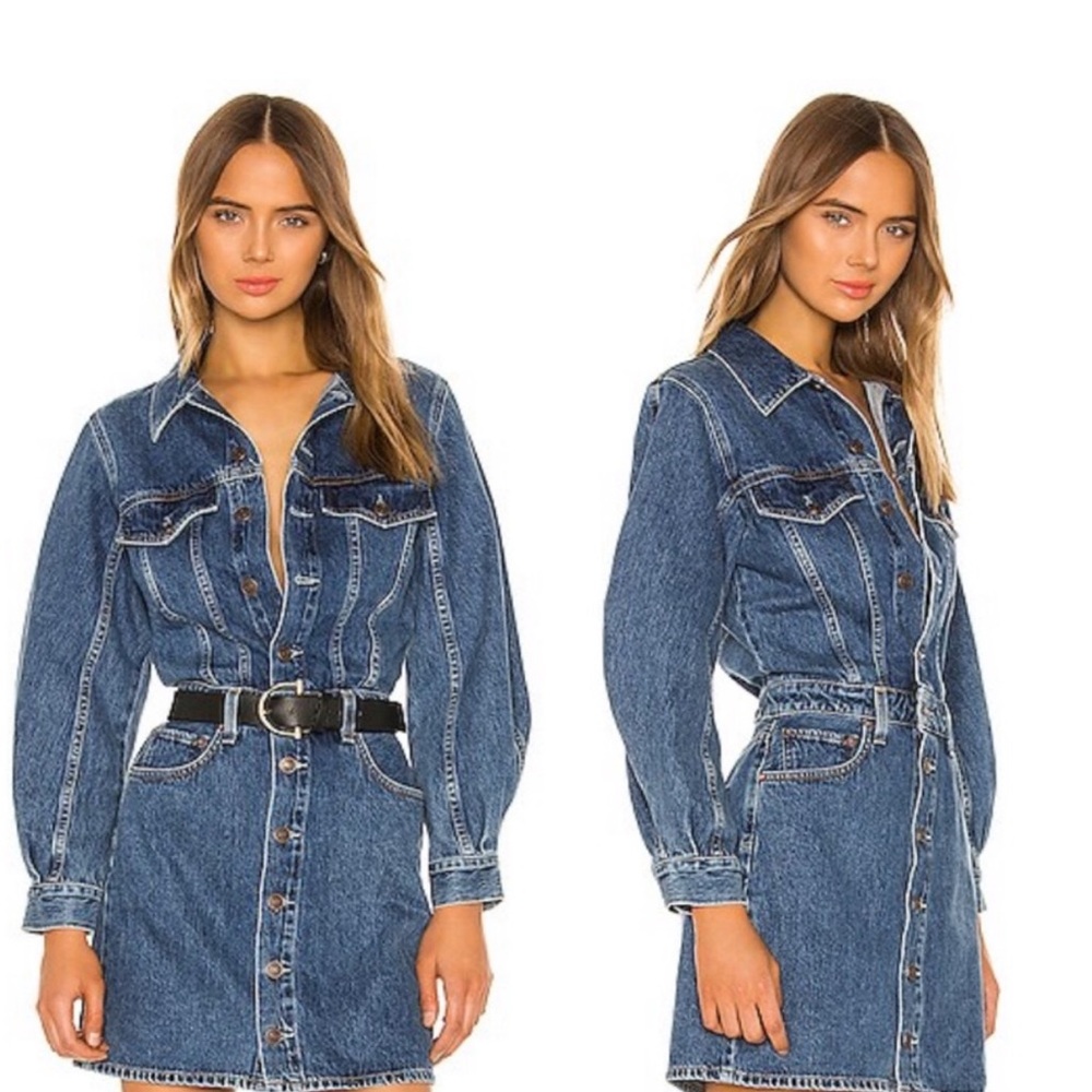 AGOLDE Balloon Sleeve Denim Dress in Shelter Size 6